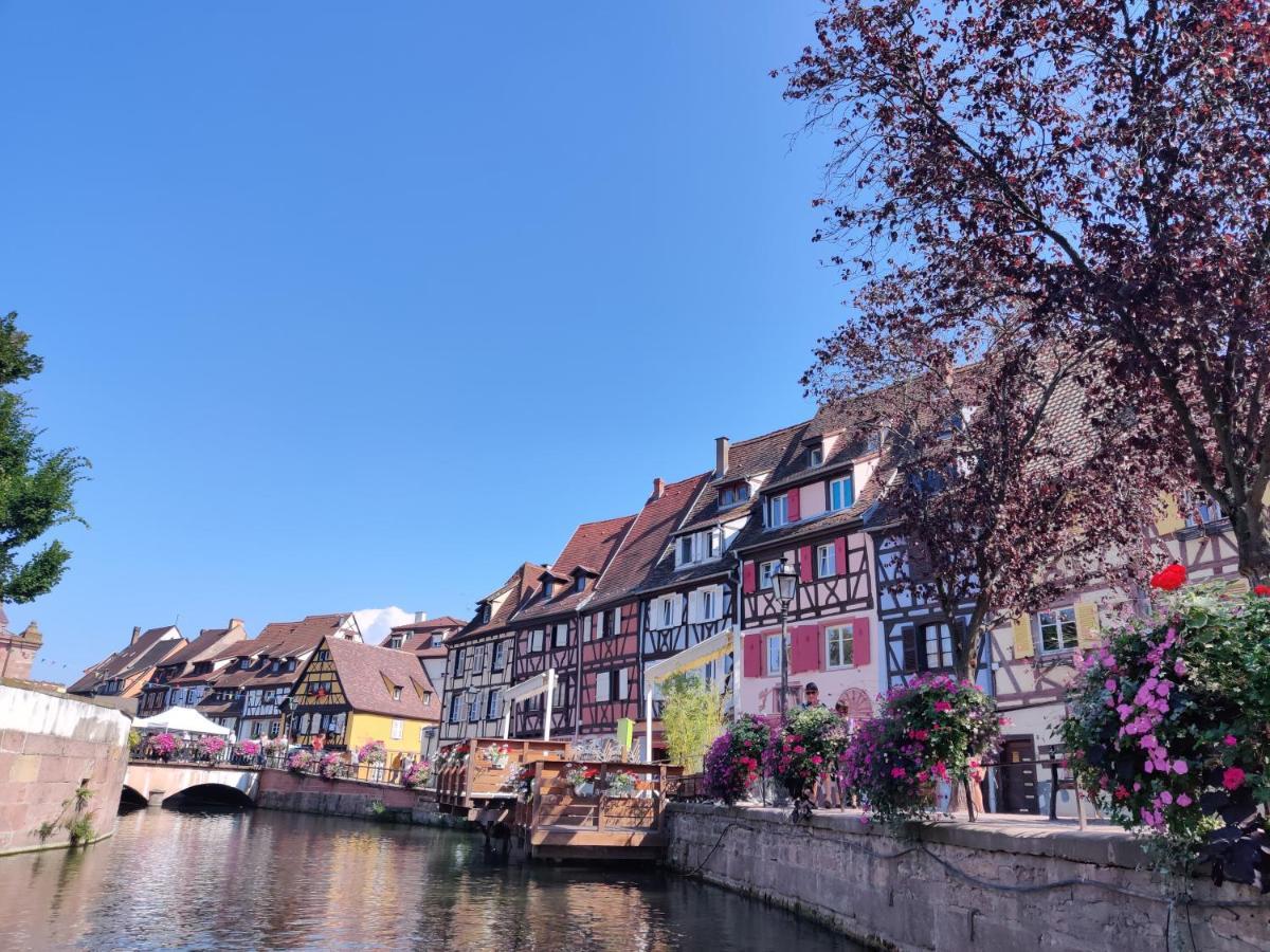 Au Kugelhopf Dore - Centre Historique Colmar Eksteriør bilde