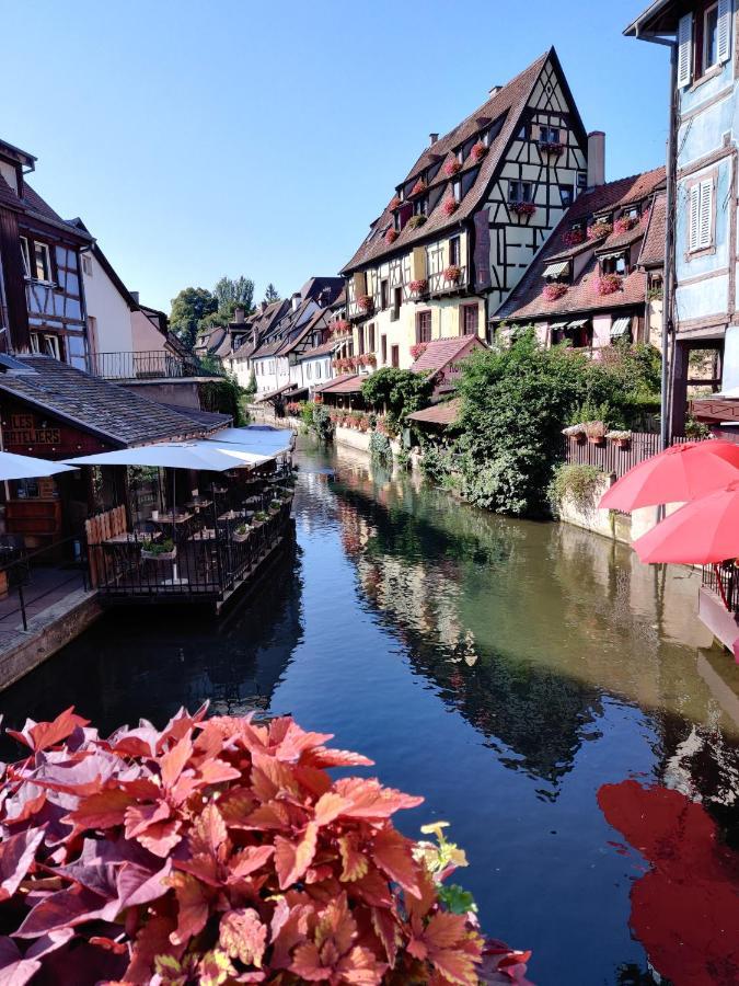 Au Kugelhopf Dore - Centre Historique Colmar Eksteriør bilde